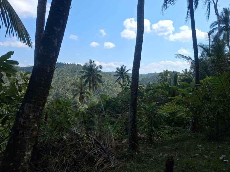dijual tanah desa lumbung selemadeg