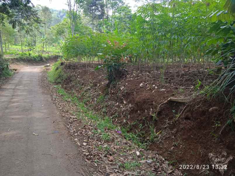 dijual tanah desa sumur bandung