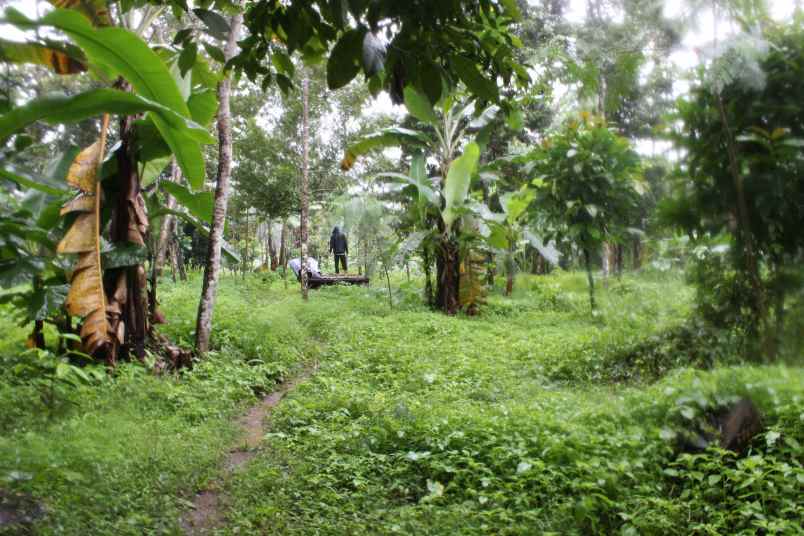 dijual tanah desa taman suruh kec