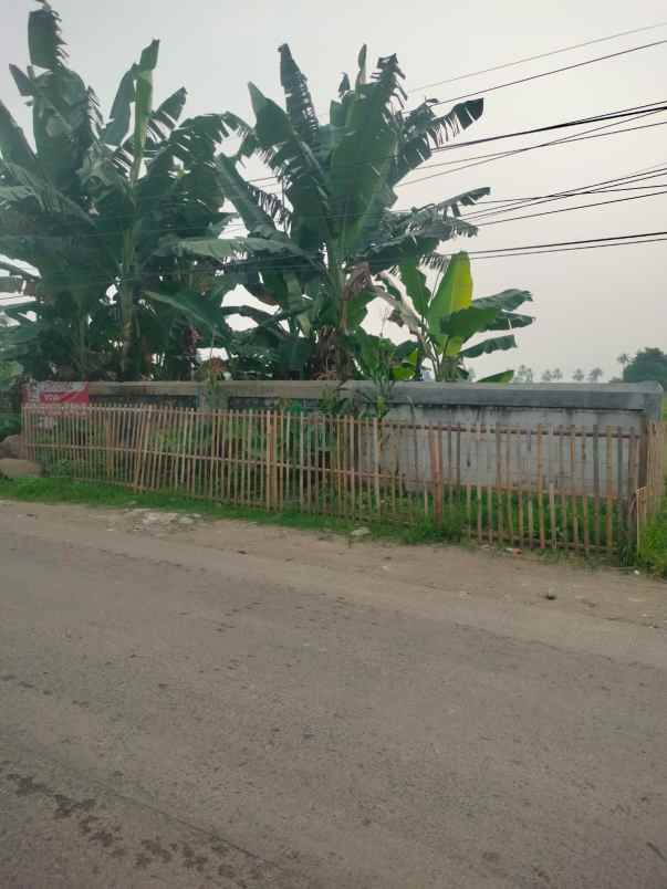 dijual tanah di ciseeng