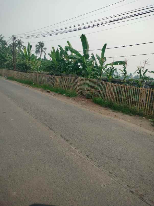 dijual tanah di ciseeng