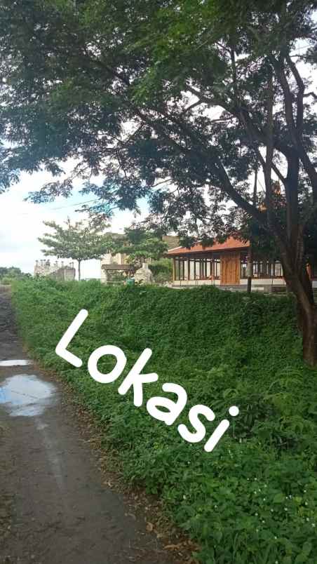 dijual tanah di lokasi wisata tebing breksi yogya