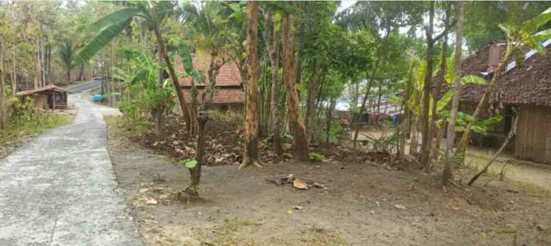 dijual tanah dijual tanah di jojoran