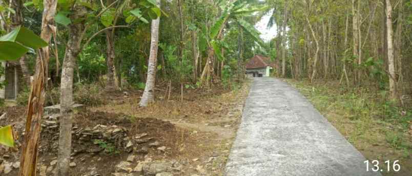 dijual tanah dijual tanah di jojoran