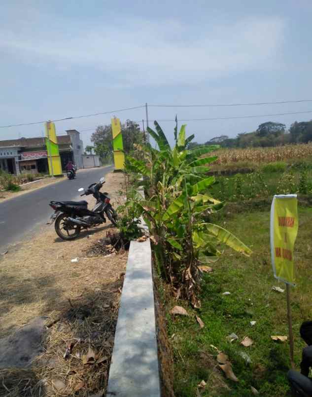 dijual tanah dijual tanah sawah di desa