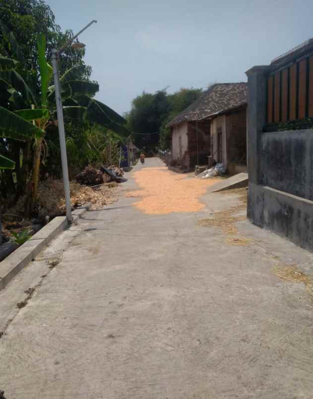 dijual tanah dijual tanah sawah di desa