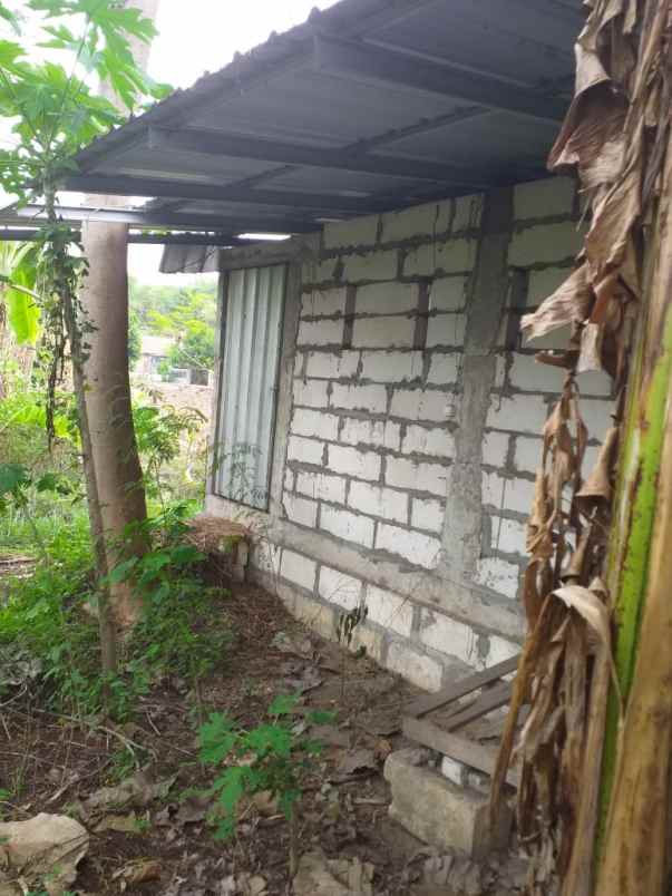 dijual tanah dsn sebani tanjang ngono