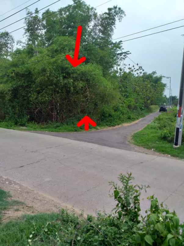 dijual tanah dsn sebani tanjang ngono