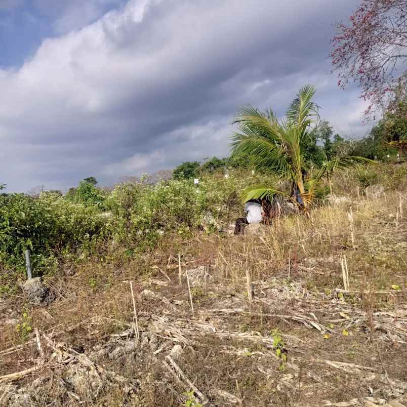 dijual tanah jalan pantura menuju danau