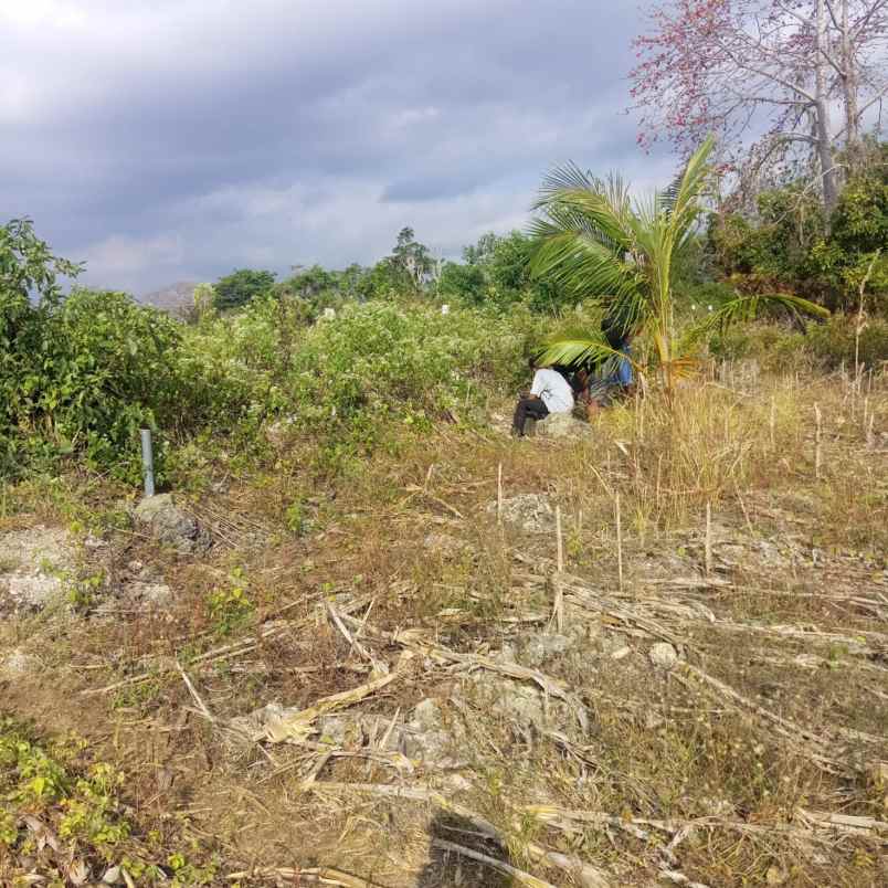dijual tanah jalan pantura menuju danau