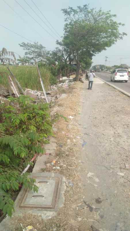 dijual tanah jalan pantura patrol