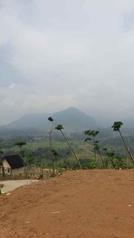 dijual tanah jalan raya sukamakmur jonggol