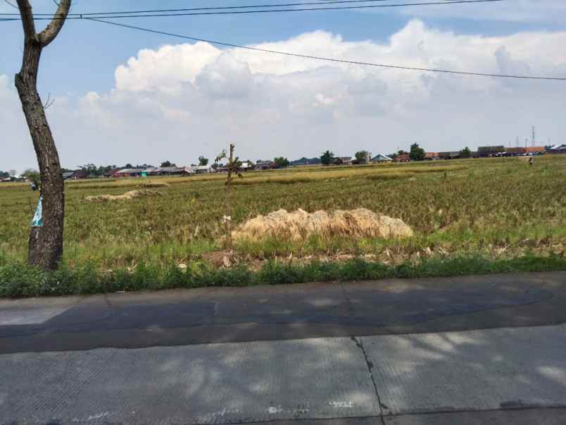 dijual tanah jalan syeh quro