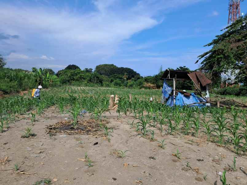 dijual tanah jl banjar siyut tulikup