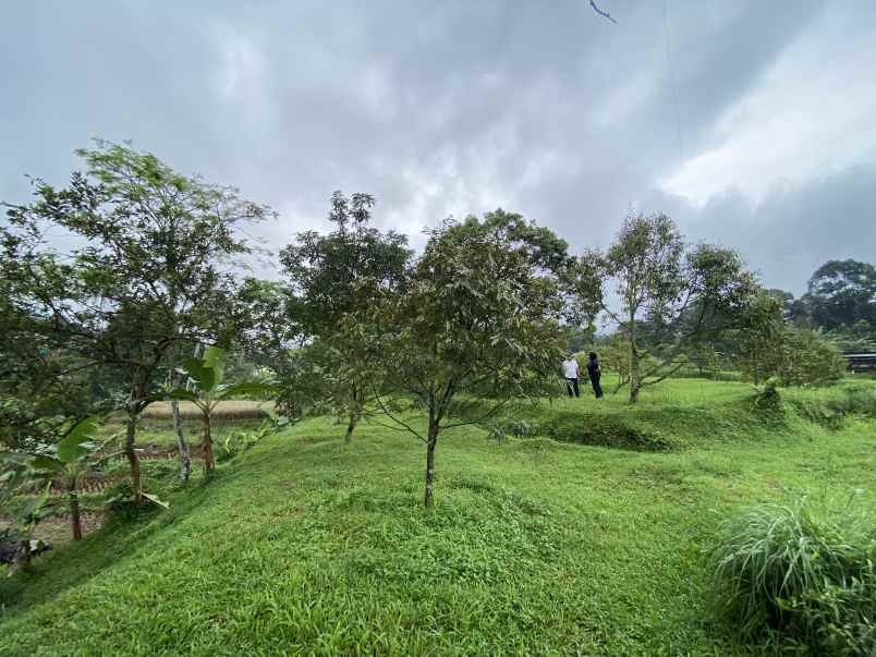 dijual tanah jl cibalung cijeruk bogor