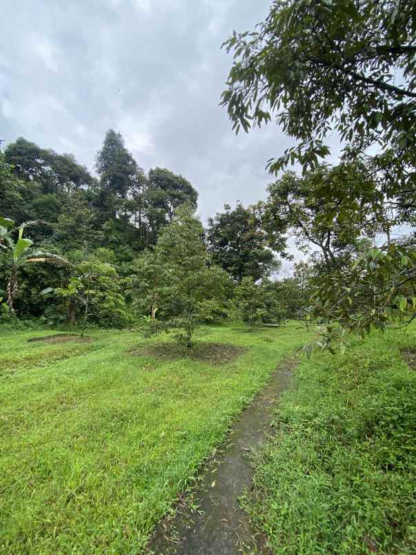 dijual tanah jl cibalung cijeruk bogor