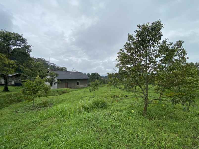 dijual tanah jl cibalung cijeruk bogor