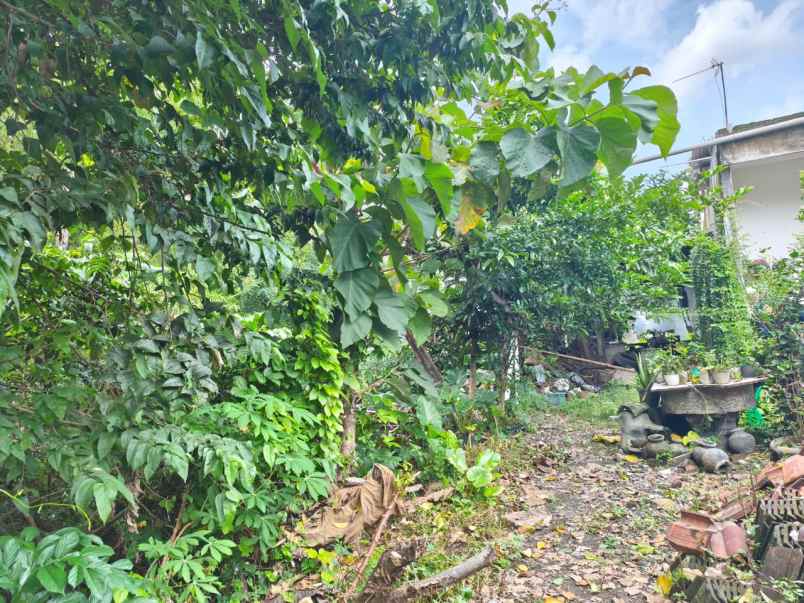 dijual tanah jl mojo gulon jebres kec