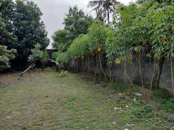 dijual tanah jl palagan km 10 rejodani