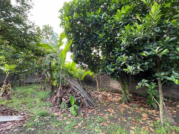 dijual tanah jl palagan km 10 rejodani