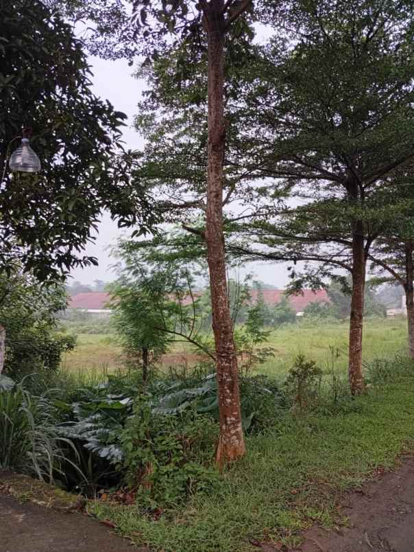 dijual tanah jl raya arco desa citayam