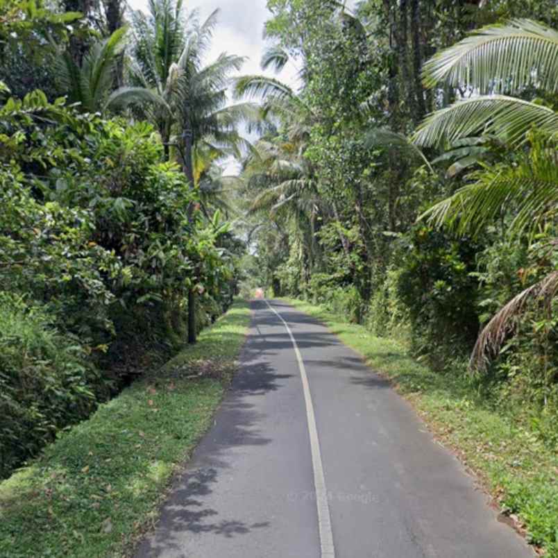 dijual tanah jl sedap malam br ketagon