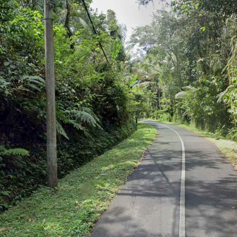 dijual tanah jl sedap malam br ketagon