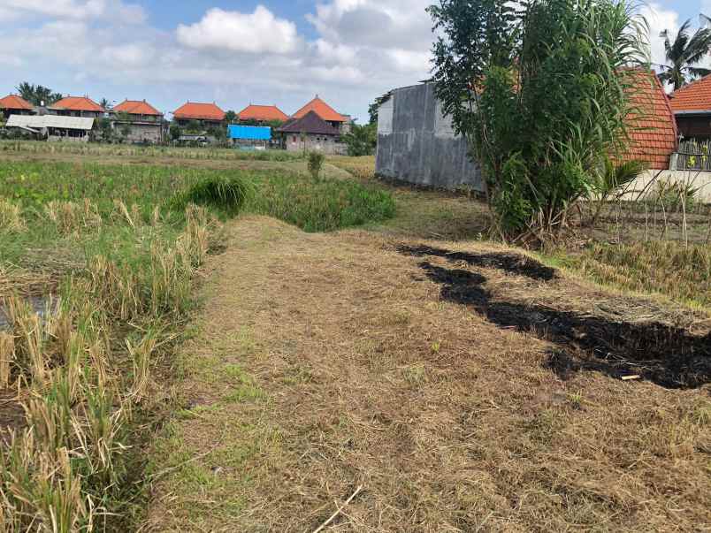 dijual tanah kemenuh