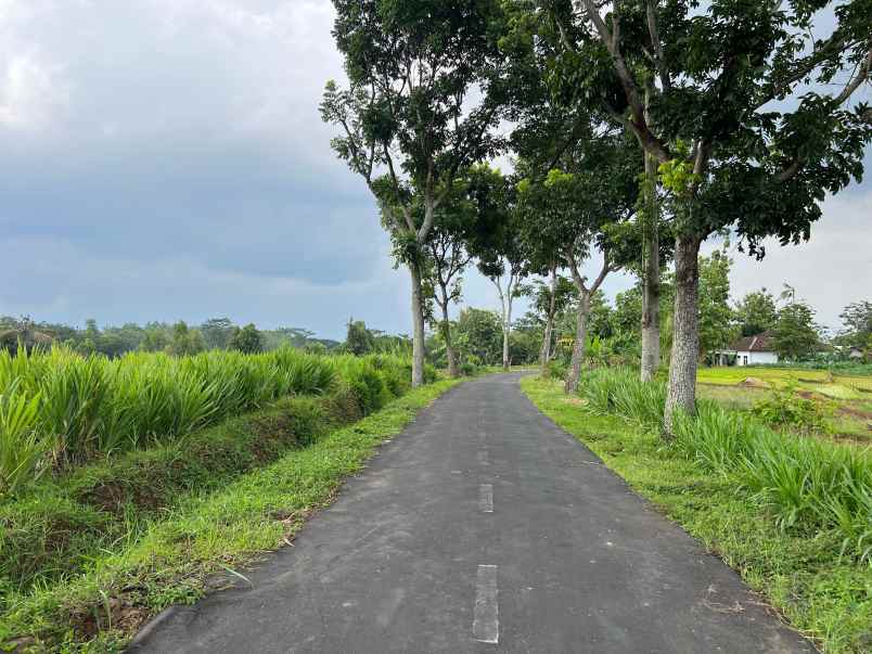 dijual tanah kerjo karanganyar jawa tengah