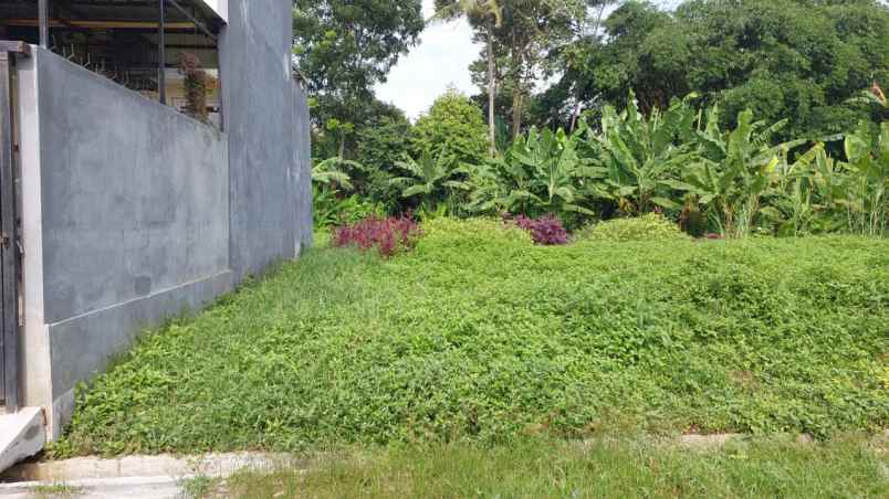 dijual tanah ki ageng gribig gg 3