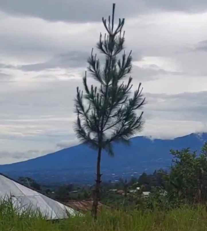 dijual tanah kintamani bangli bali