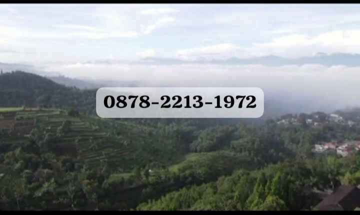 dijual tanah lembang bandung