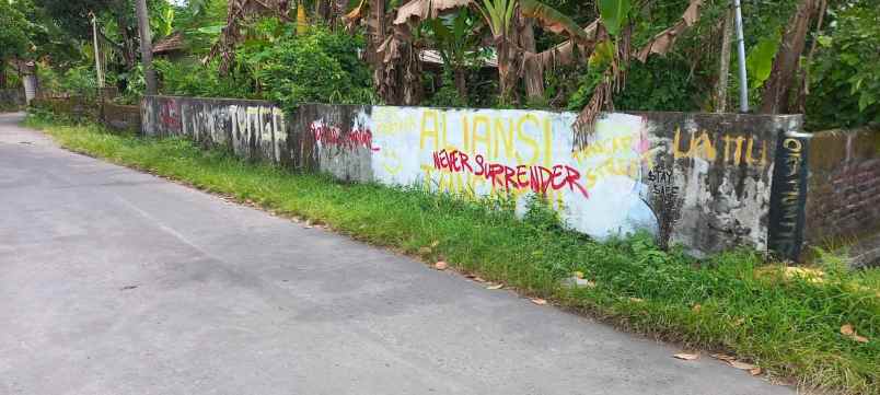 dijual tanah moro bangun jogotirto kec