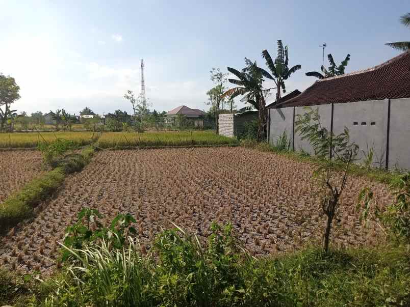 dijual tanah panjisari belakang mts n 6