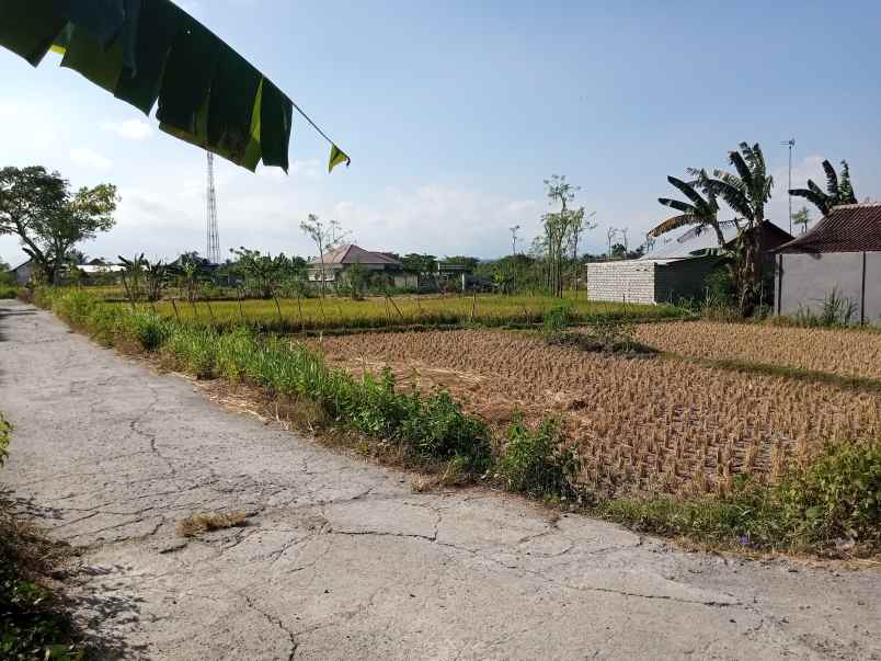 dijual tanah panjisari belakang mts n 6