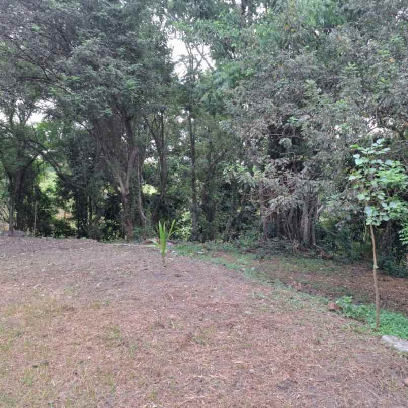 dijual tanah pantai kelencung