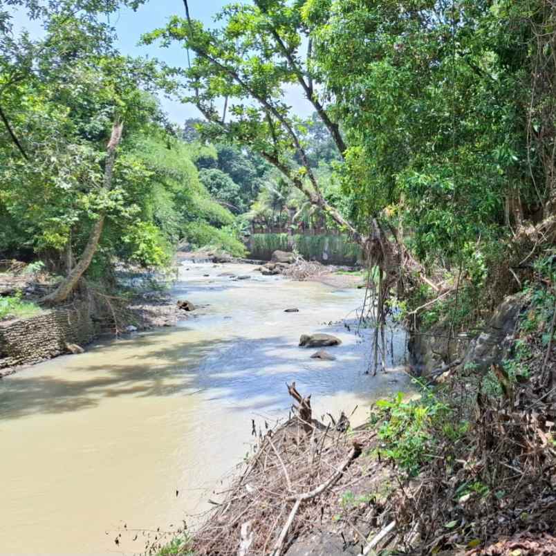 dijual tanah pantai kelencung