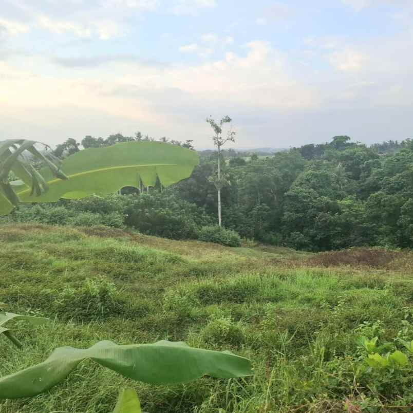 dijual tanah pantai kelencung