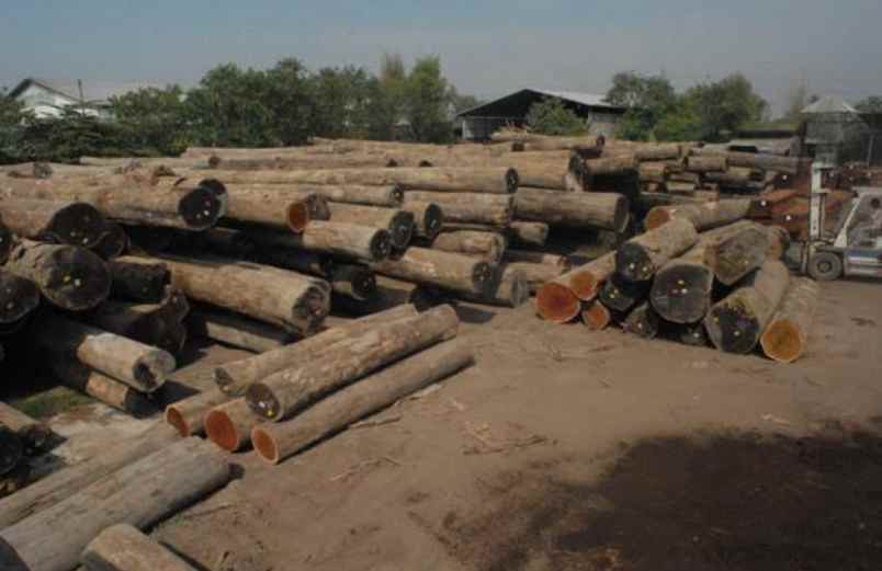 dijual tanah pedurungan semarang