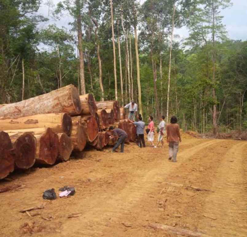 dijual tanah pedurungan semarang