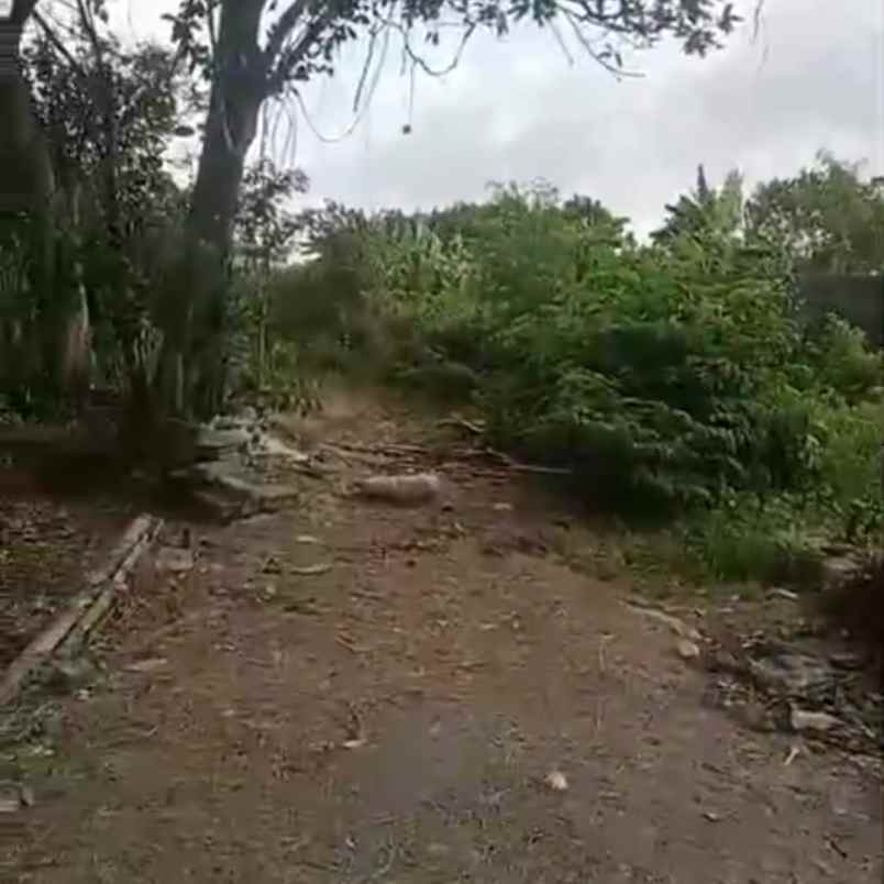 dijual tanah raya canggu ketobokan