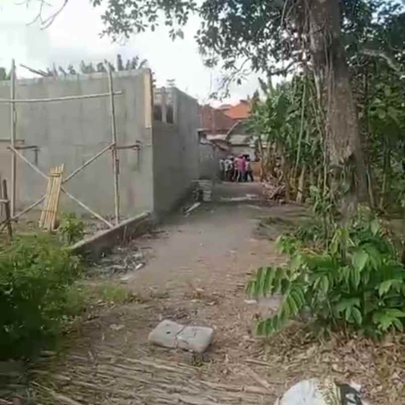 dijual tanah raya canggu ketobokan