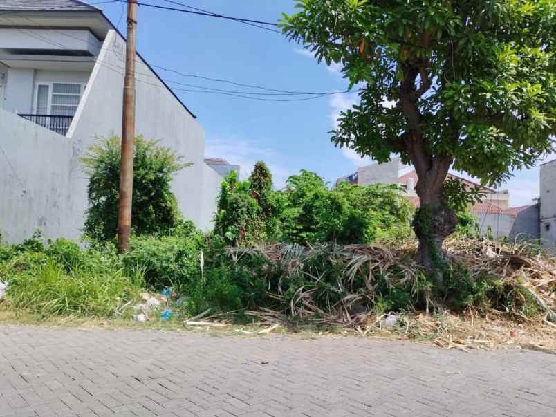 dijual tanah raya gading pantai