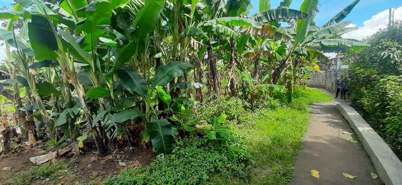 dijual tanah raya ujung berung