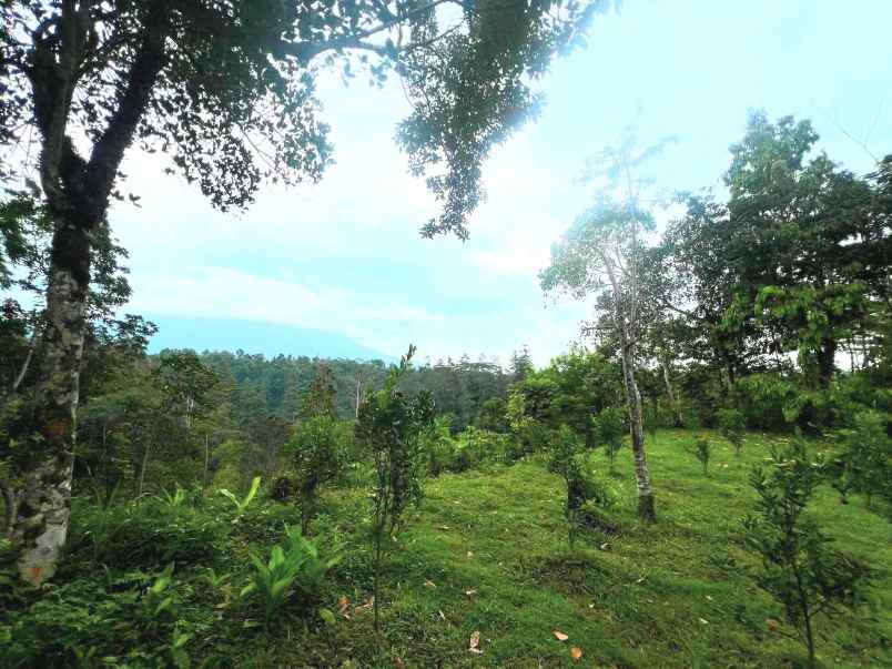 dijual tanah rendang karangasem bali