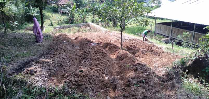 dijual tanah selawangi tanjungsari bogor