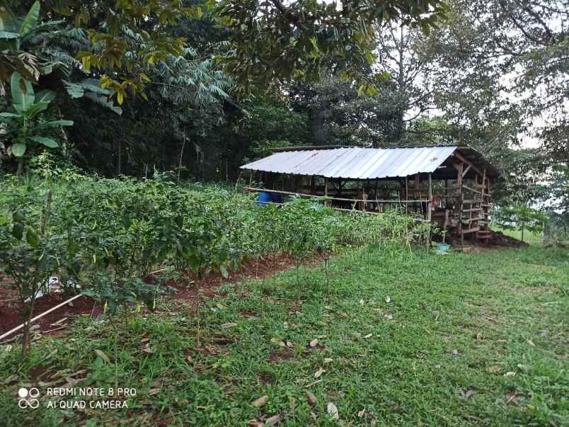 dijual tanah selawangi tanjungsari bogor