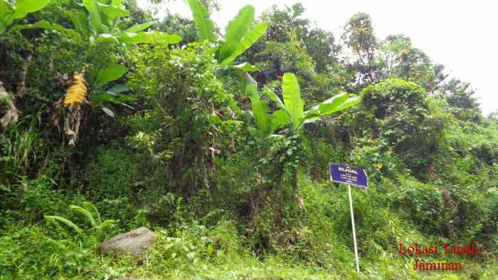 dijual tanah seluas 137 876 m2 seharga 5 82m lampung