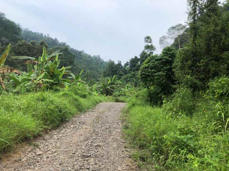 dijual tanah seluas 137 876 m2 seharga 5 82m lampung