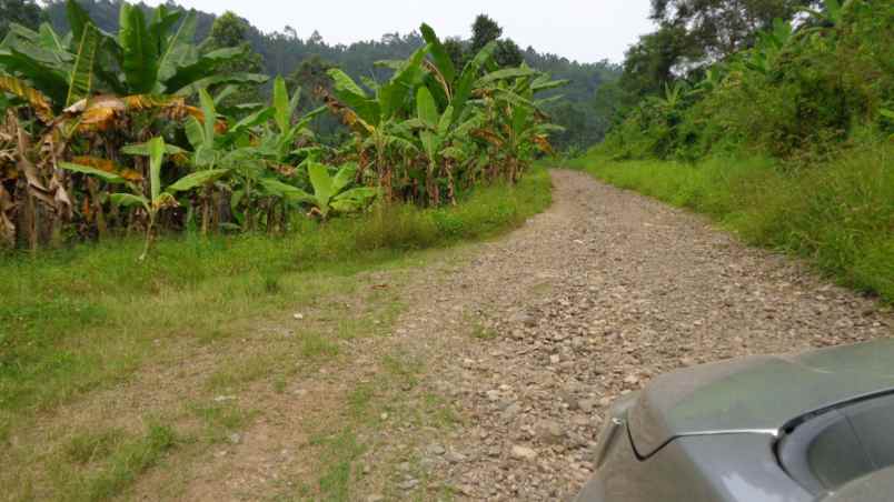 dijual tanah seluas 137 876 m2 seharga 5 82m lampung